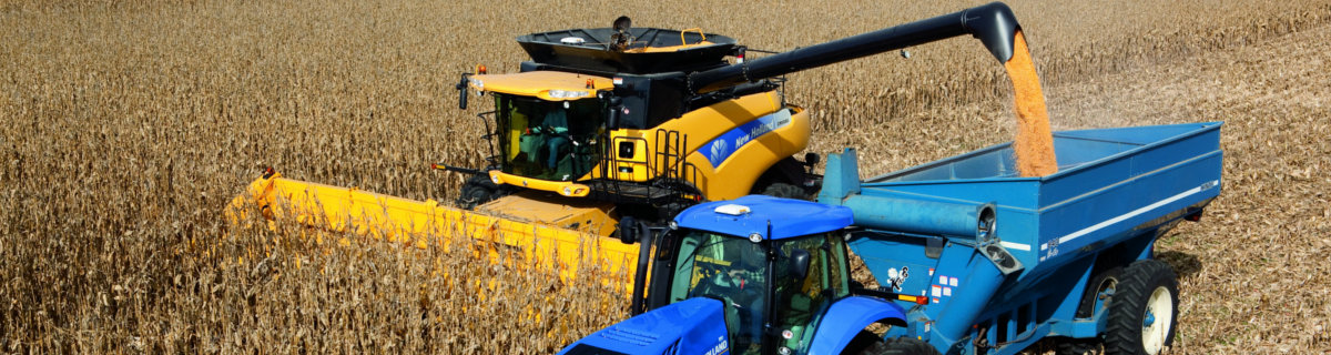 New Holland, yellow forage harvester dumping the wheat crop into blue seeder bucket